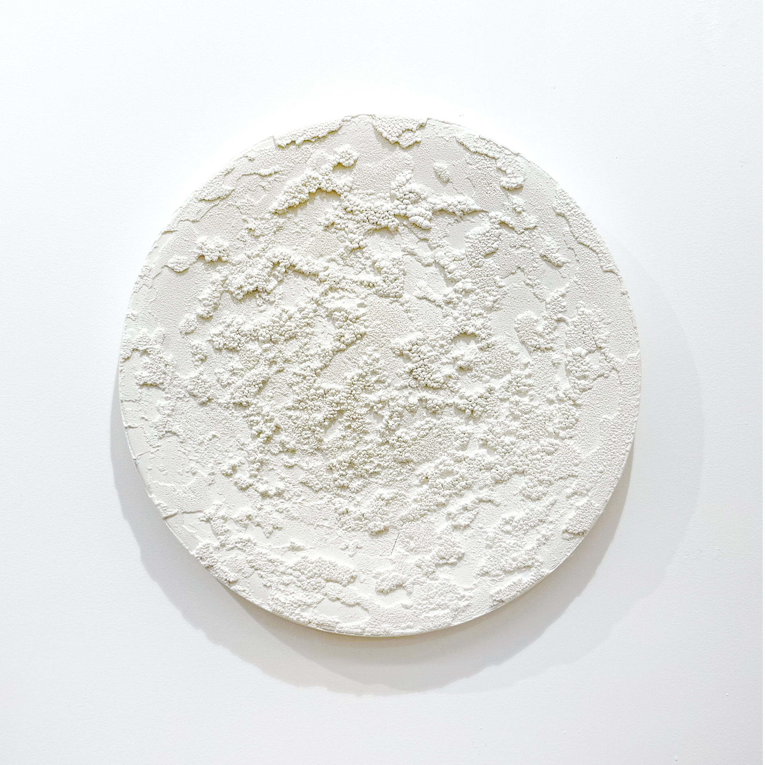 Strata #White forest